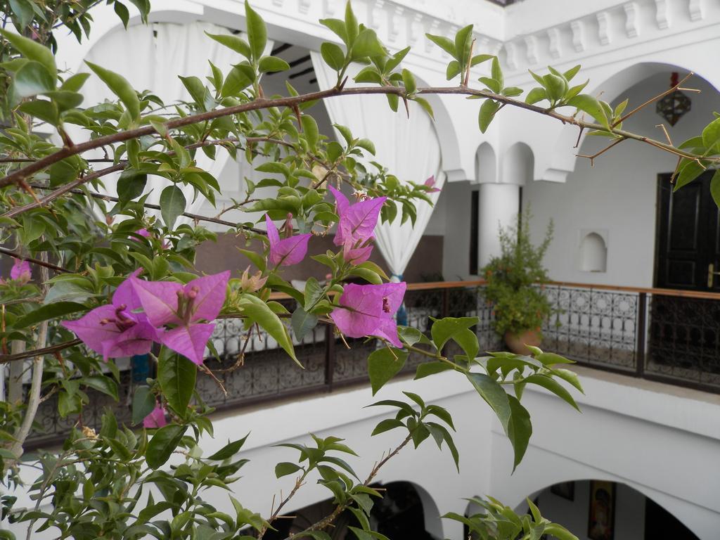 Riad Ailen 마라케시 외부 사진